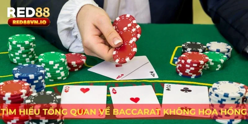 Tìm hiểu tổng quan về Baccarat không hoa hồng