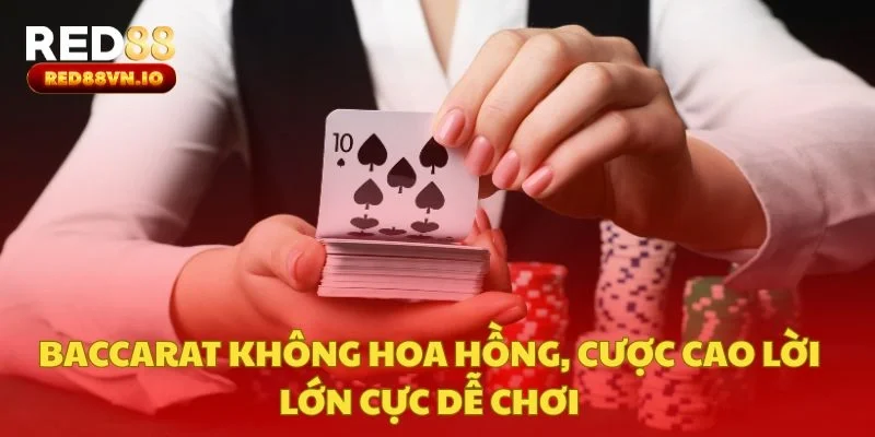 Baccarat Không Hoa Hồng, Cược Cao Lời Lớn Cực Dễ Chơi