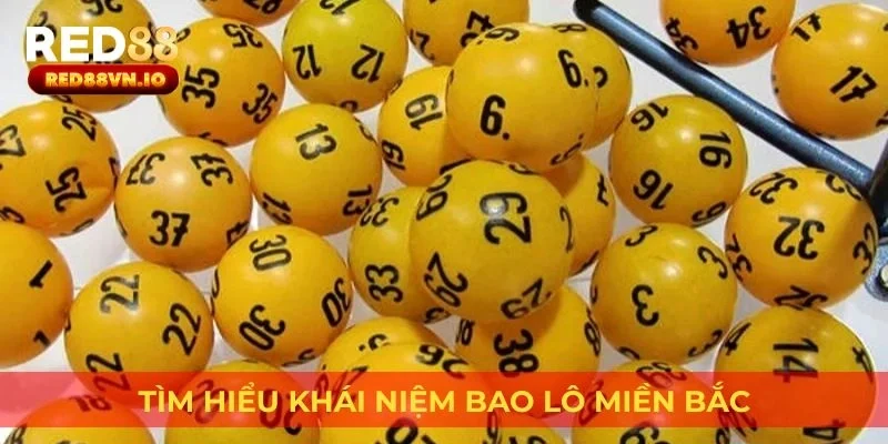 Tìm hiểu khái niệm bao lô miền Bắc