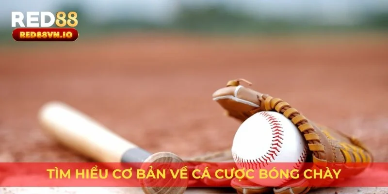 Tìm hiểu cơ bản về cá cược bóng chày
