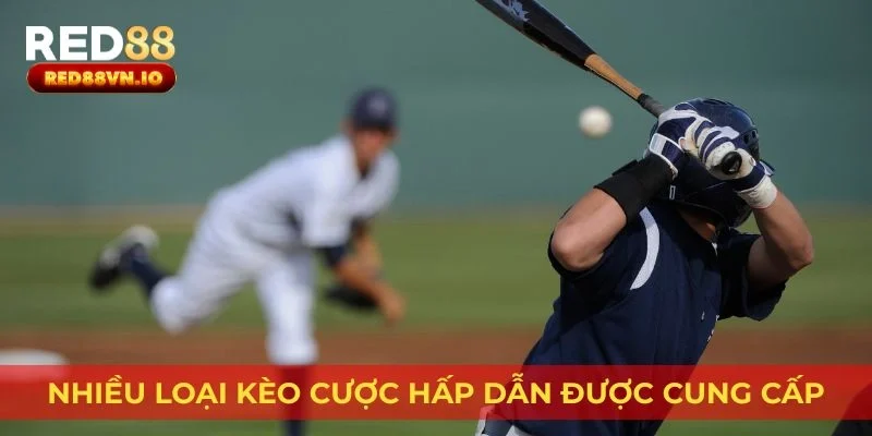 Nhiều loại kèo cược hấp dẫn được cung cấp