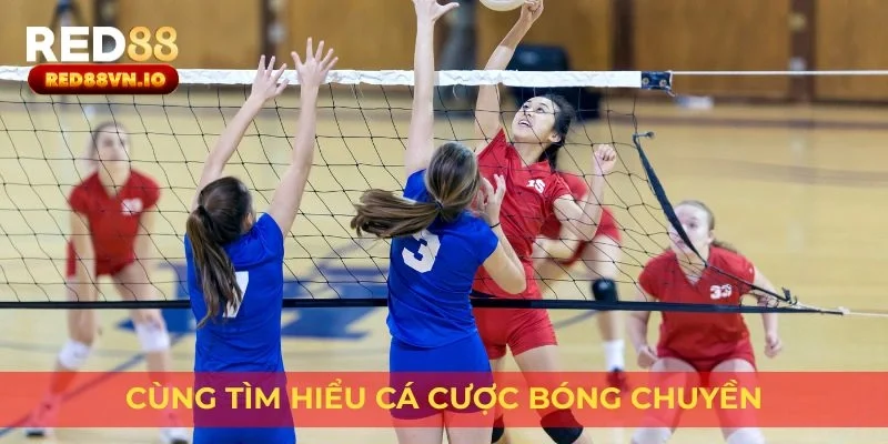 Cùng tìm hiểu cá cược bóng chuyền