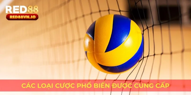 Các loại cược phổ biến được cung cấp