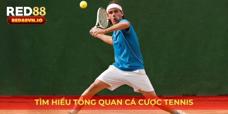 Tìm hiểu tổng quan cá cược Tennis