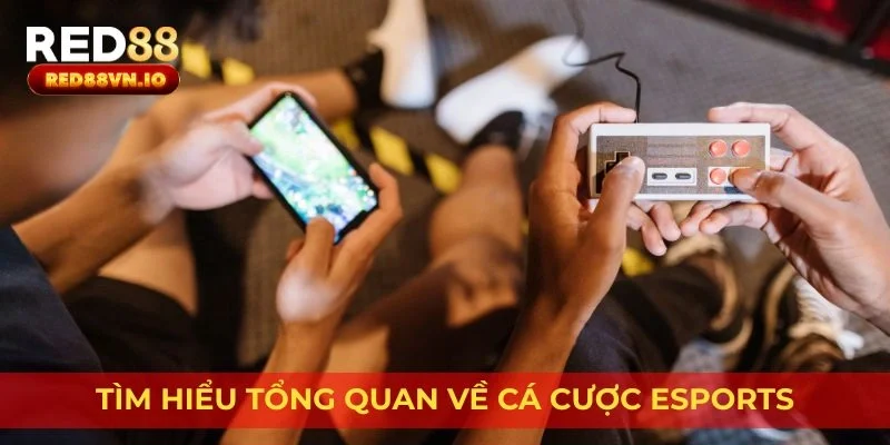 Tìm hiểu tổng quan về cá cược esports