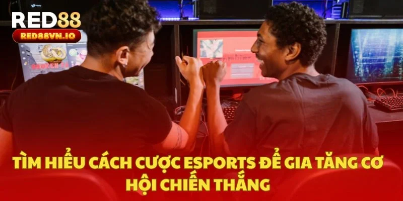 Tìm Hiểu Cách Cược Esports Để Gia Tăng Cơ Hội Chiến Thắng