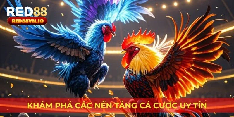 Khám phá các nền tảng cá cược uy tín
