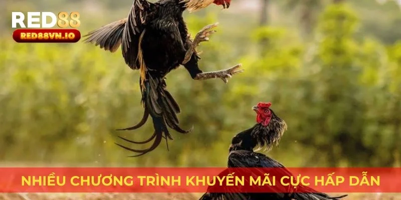 Nhiều chương trình khuyến mãi cực hấp dẫn