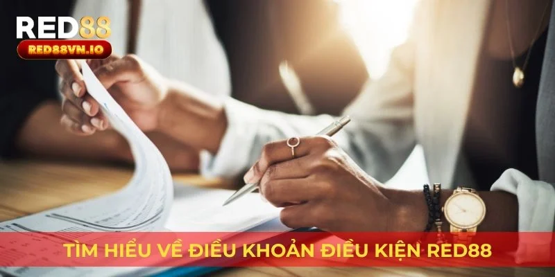 Tìm hiểu về Điều Khoản Điều Kiện Red88