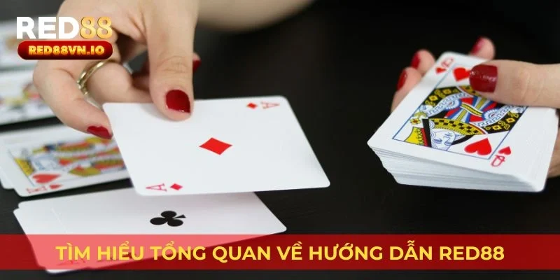Tìm hiểu tổng quan về hướng dẫn Red88
