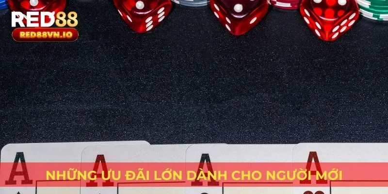 Những ưu đãi lớn dành cho người mới