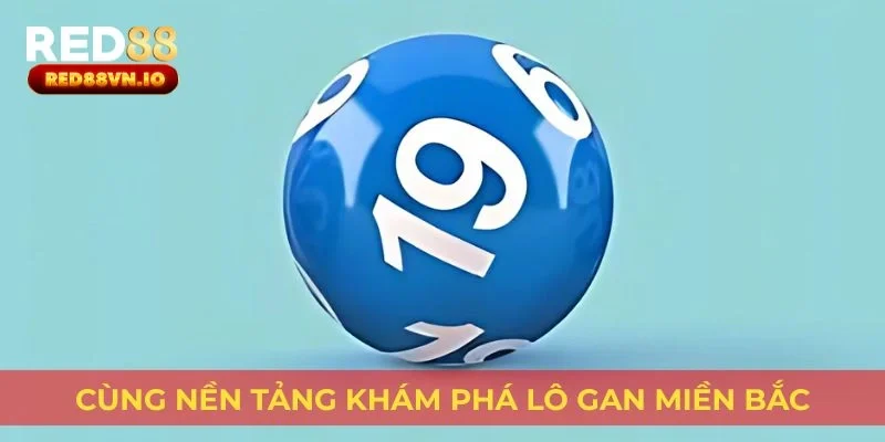 Cùng nền tảng khám phá lô gan miền Bắc
