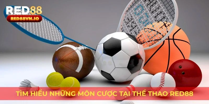 Tìm hiểu những môn cược tại thể thao Red88